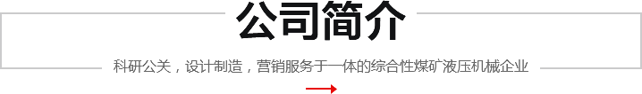 公司簡(jiǎn)介